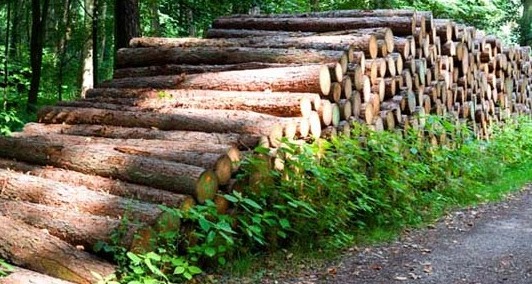 Vente de bois de chauffage à Lucé